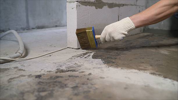 Top rated local Waterproofing specialists in North Vernon, IN